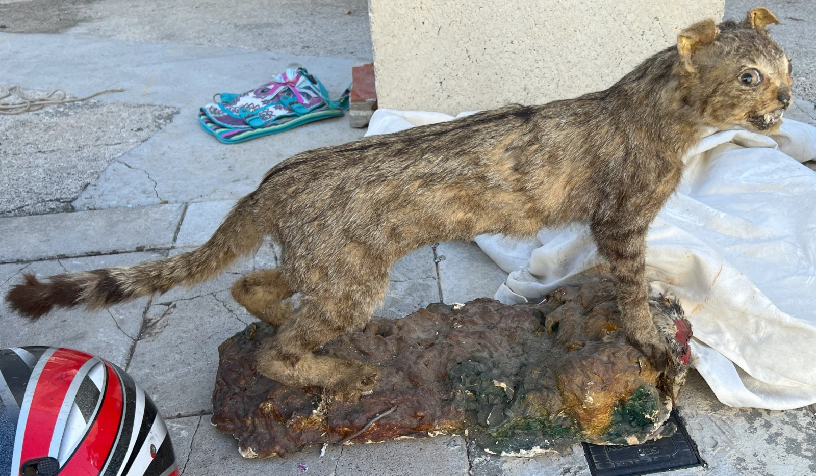 Kindle за копейки, робот-пылесос от iRobot и куча фотоаппаратов и вспышек: воскресная барахолка под Валенсией - 2 Kindle за копейки, робот-пылесос от iRobot и куча фотоаппаратов и вспышек: воскресная барахолка под Валенсией - 2