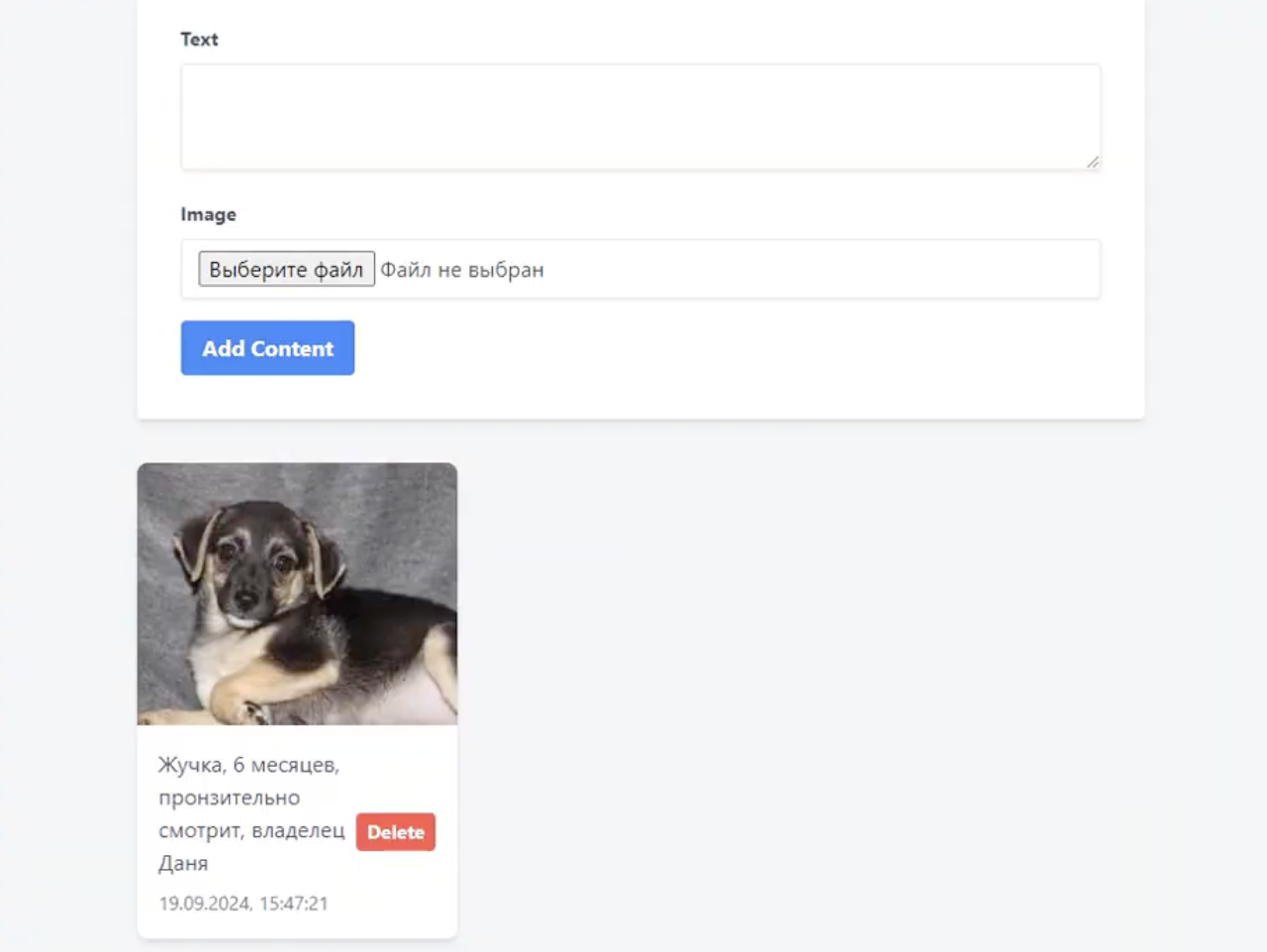 Replit Agent программиста не заменит! Или как мы пробовали писать код с помощью нейросети - 29 Replit Agent программиста не заменит! Или как мы пробовали писать код с помощью нейросети - 29