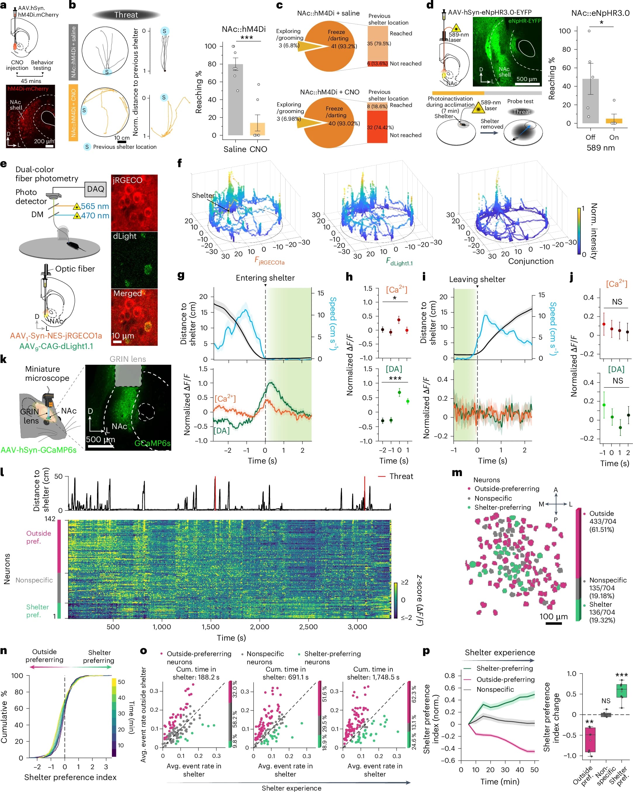 Память и локомоция: восстановление памяти через оптогенетическую активацию - 3 Память и локомоция: восстановление памяти через оптогенетическую активацию - 3