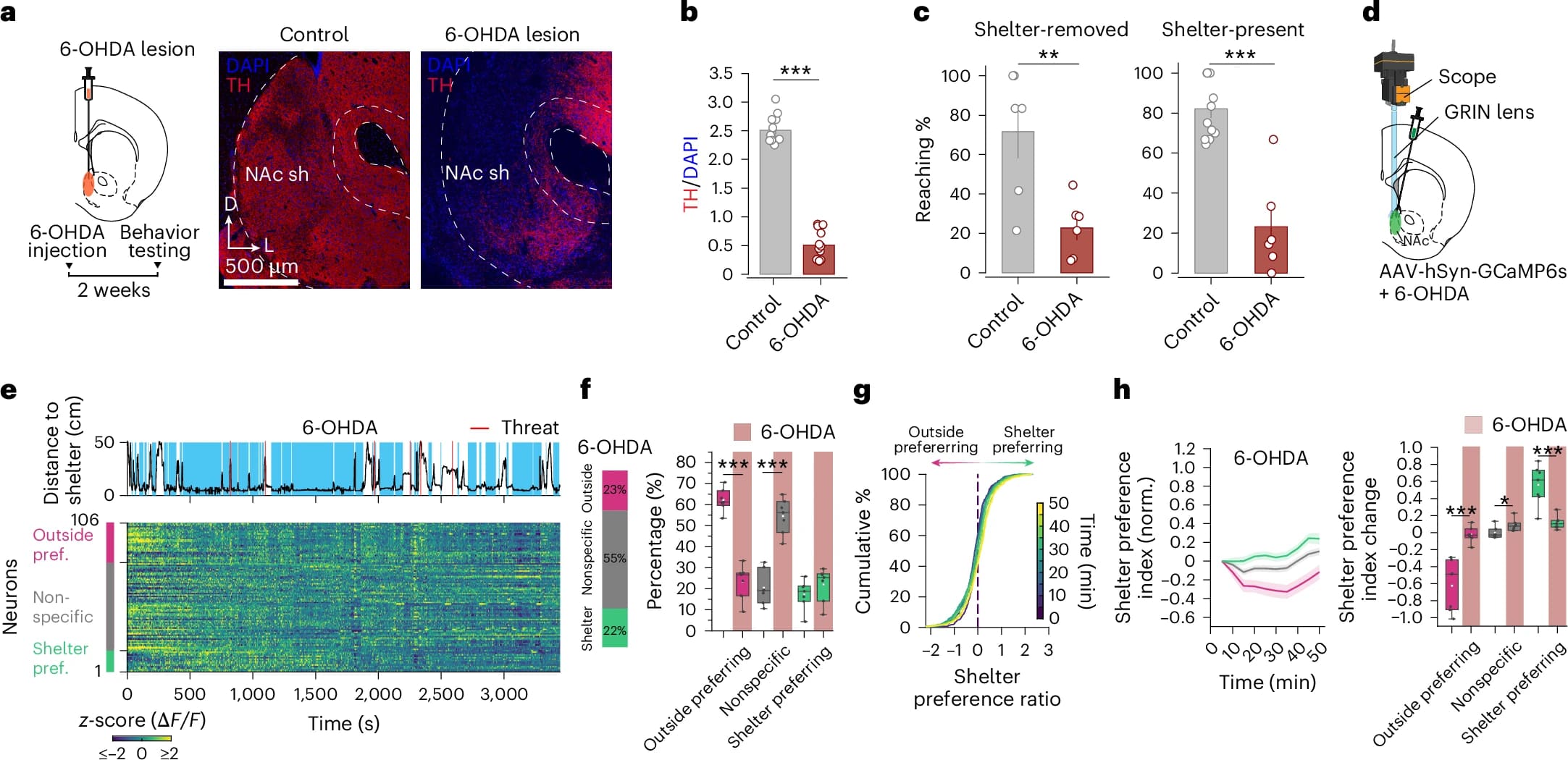 Память и локомоция: восстановление памяти через оптогенетическую активацию - 4 Память и локомоция: восстановление памяти через оптогенетическую активацию - 4