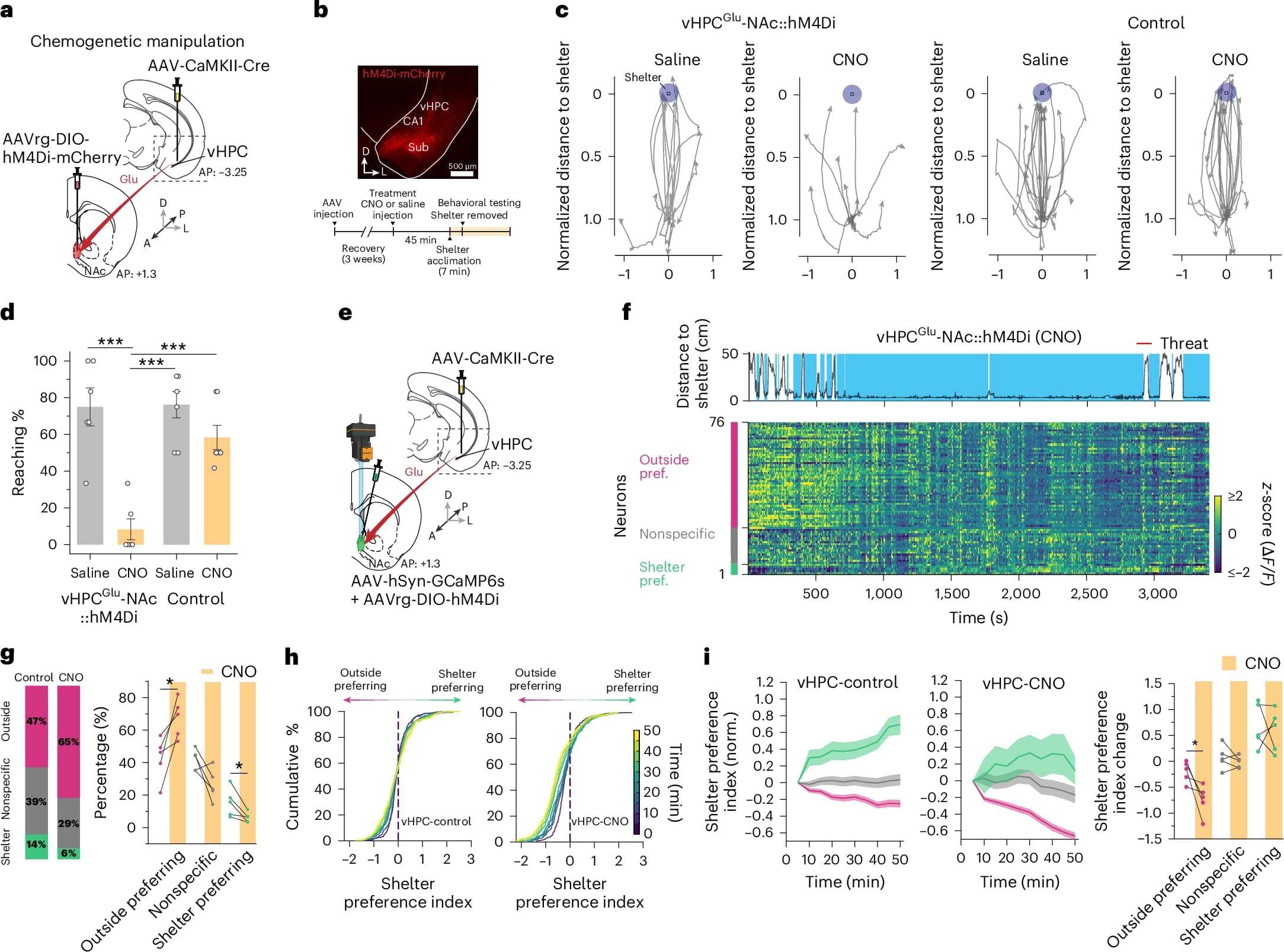 Память и локомоция: восстановление памяти через оптогенетическую активацию - 5 Память и локомоция: восстановление памяти через оптогенетическую активацию - 5