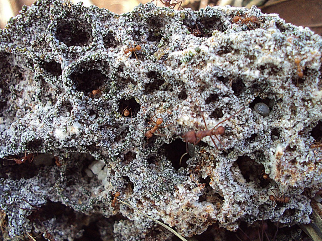 Приятного аппетита! Приятного аппетита!