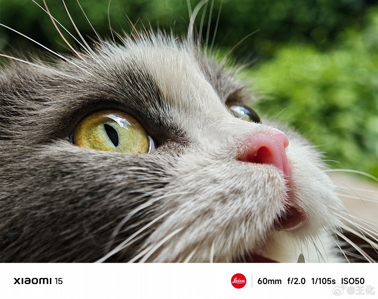 Так фотографируют ещё не представленные Xiaomi 15 и Xiaomi 15 Pro. За несколько дней до анонса компания опубликовала примеры фото - 1 Так фотографируют ещё не представленные Xiaomi 15 и Xiaomi 15 Pro. За несколько дней до анонса компания опубликовала примеры фото