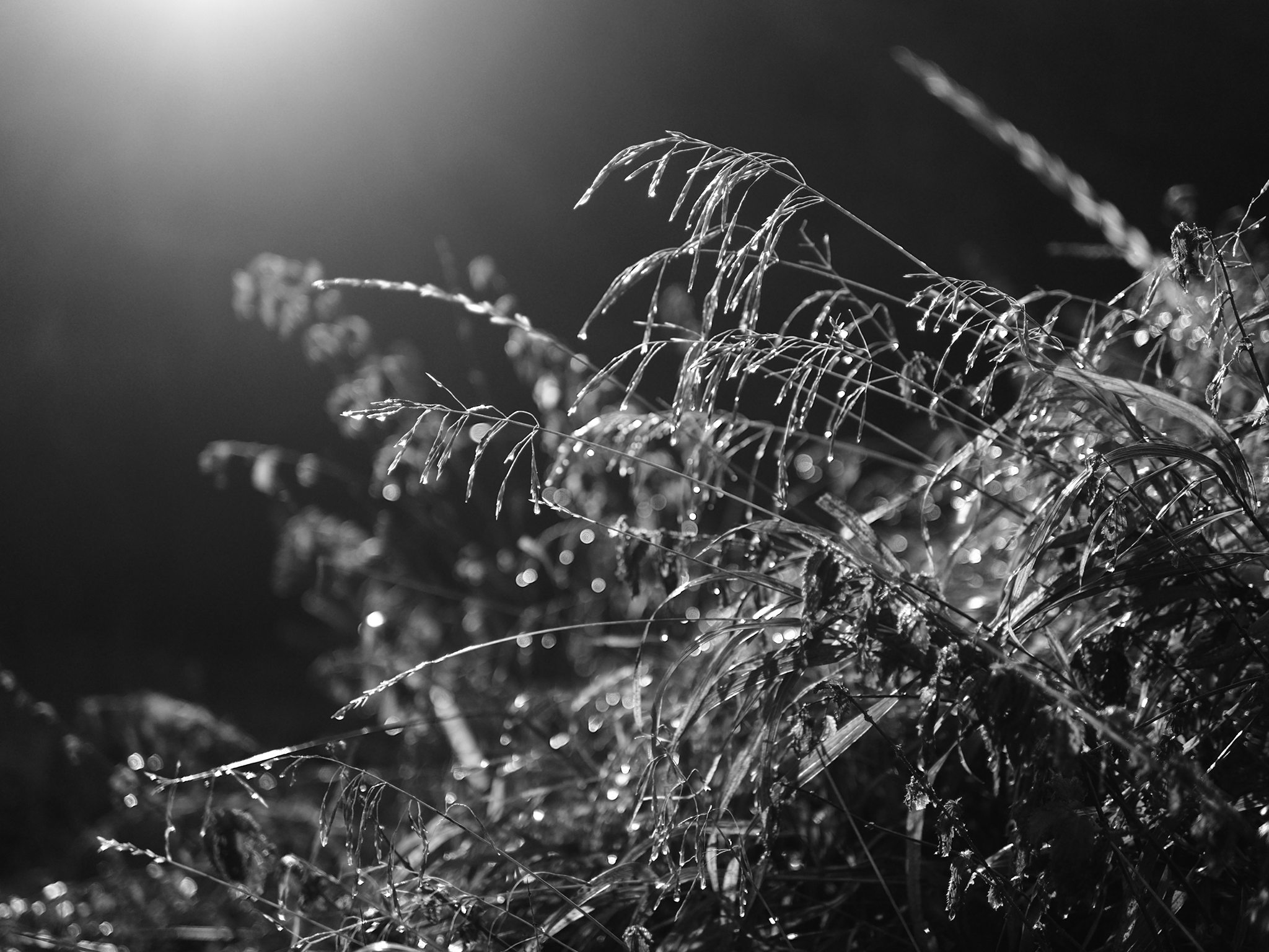 Почему я люблю фотокамеру Olympus? - 13 Почему я люблю фотокамеру Olympus? - 13