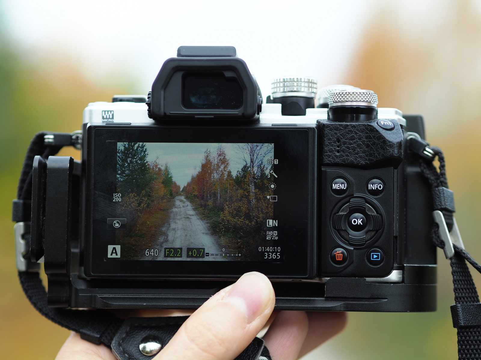 Почему я люблю фотокамеру Olympus? - 17 Почему я люблю фотокамеру Olympus? - 17