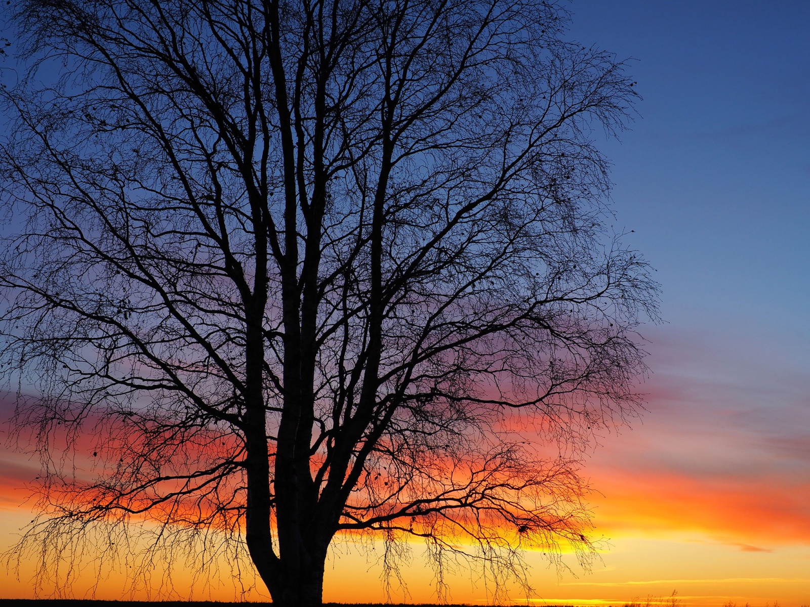 Почему я люблю фотокамеру Olympus? - 26 Почему я люблю фотокамеру Olympus? - 26