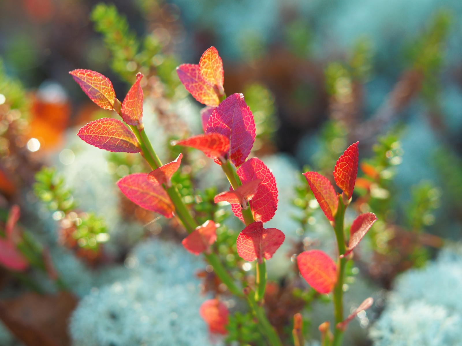 Почему я люблю фотокамеру Olympus? - 28 Почему я люблю фотокамеру Olympus? - 28