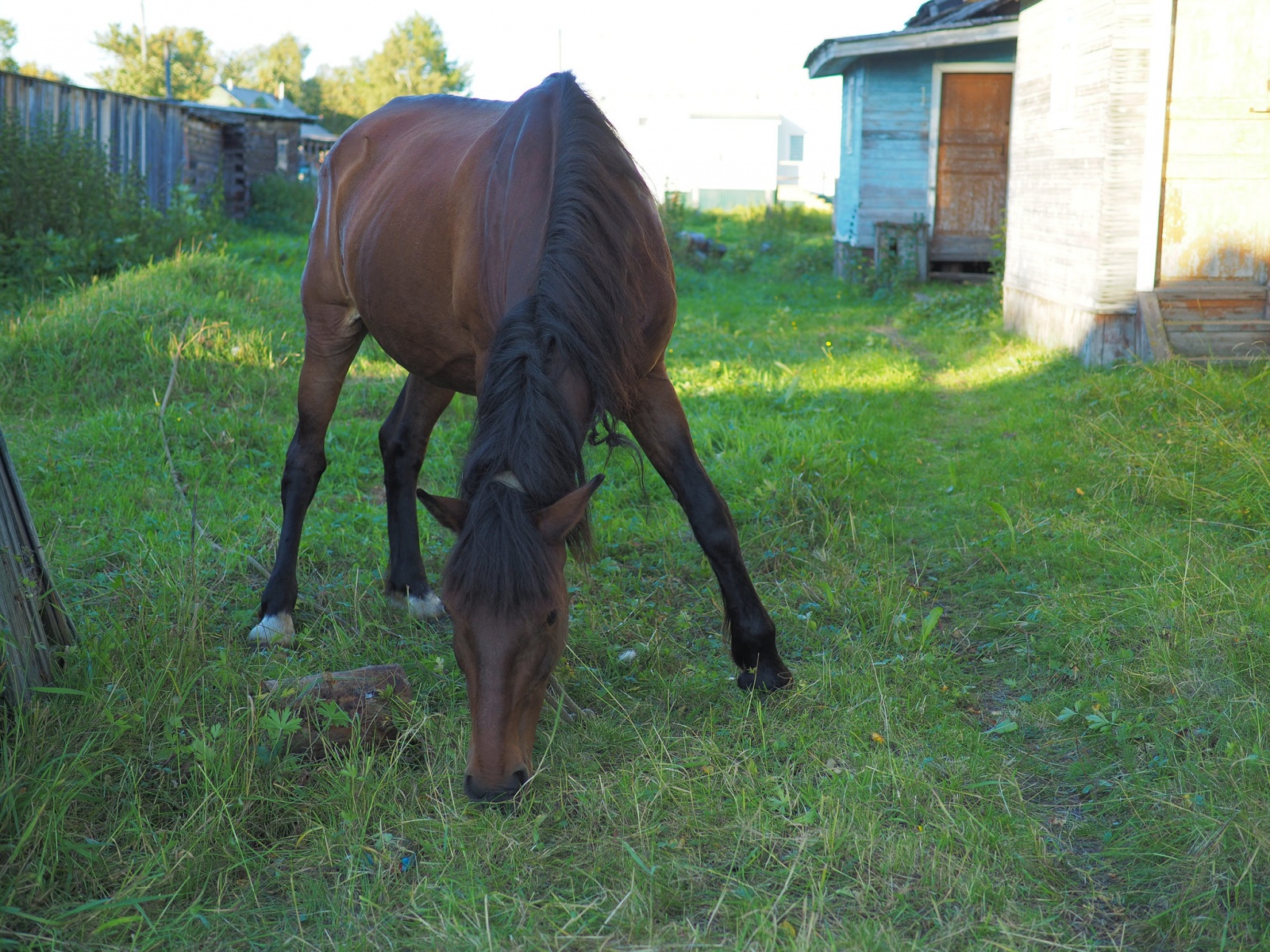 Почему я люблю фотокамеру Olympus? - 32 Почему я люблю фотокамеру Olympus? - 32