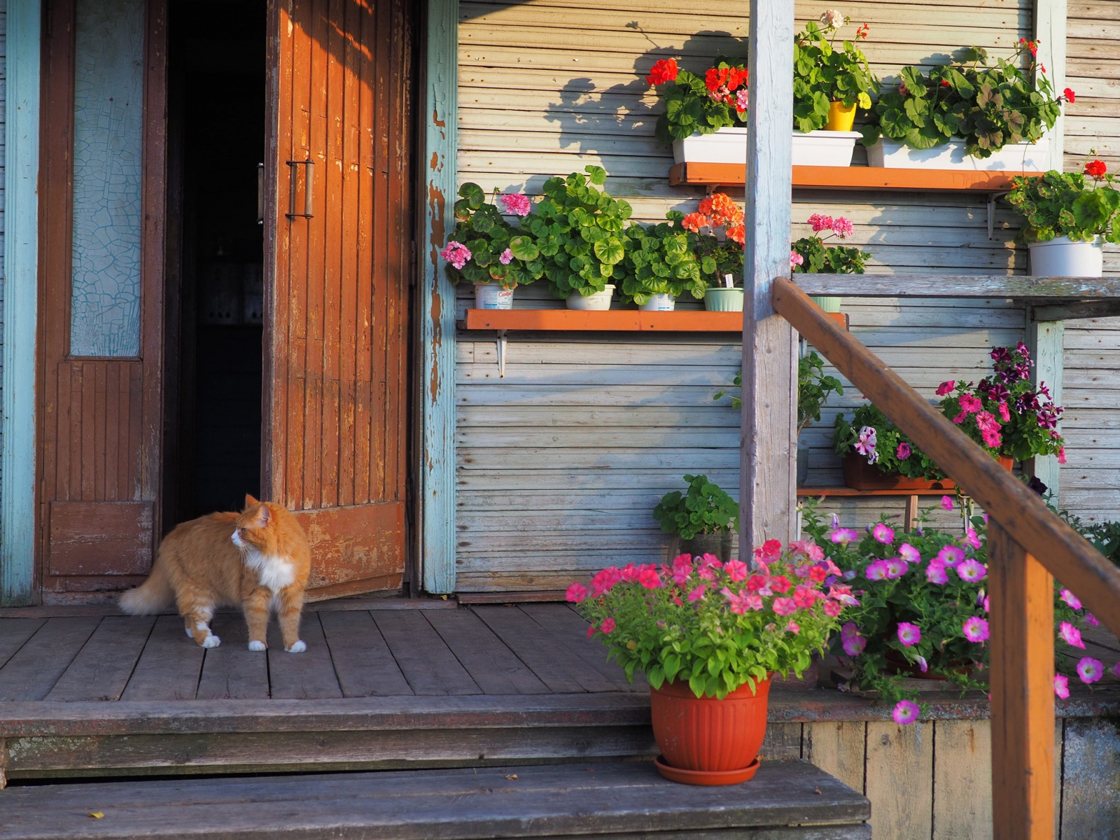 Почему я люблю фотокамеру Olympus? - 8 Почему я люблю фотокамеру Olympus? - 8