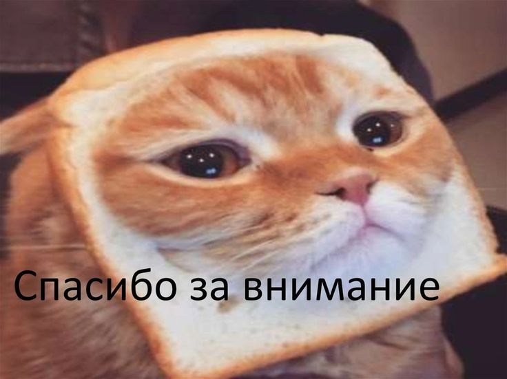 Nvidia тюнингует LLaMA, нобелевские лауреаты ликуют, исследователи Apple ищут логику: главные события октября в сфере ИИ - 12 Nvidia тюнингует LLaMA, нобелевские лауреаты ликуют, исследователи Apple ищут логику: главные события октября в сфере ИИ - 12