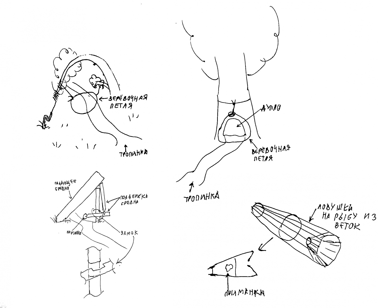 Выживание в суровой среде - 10 Выживание в суровой среде - 10