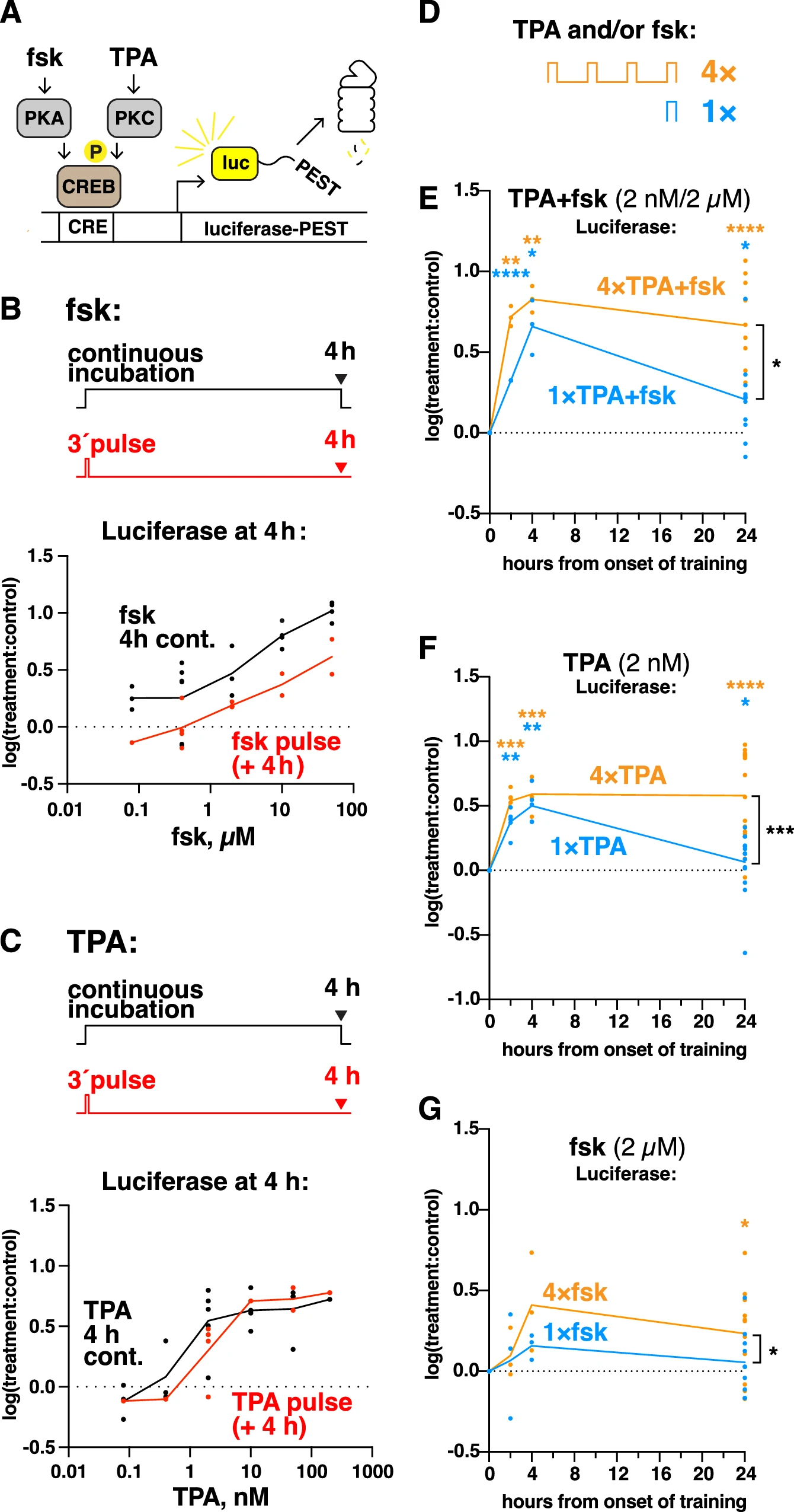 Не мозгом единым: формирование памяти вне клеток мозга - 3 Не мозгом единым: формирование памяти вне клеток мозга - 3