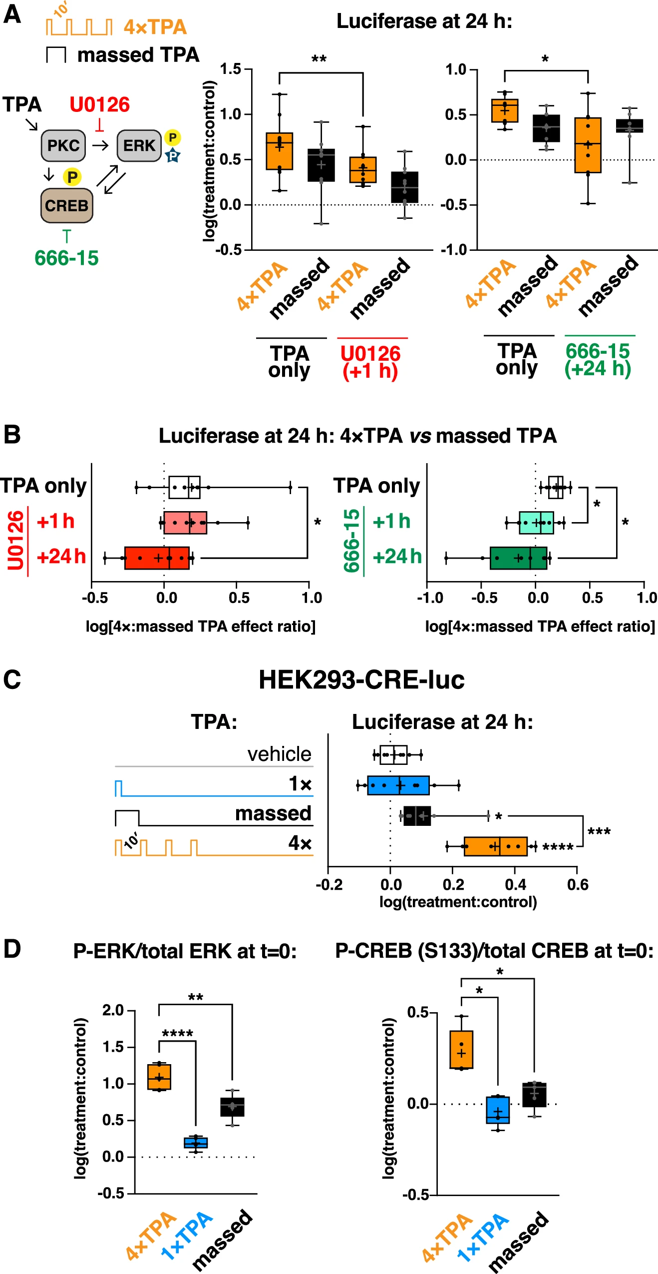 Не мозгом единым: формирование памяти вне клеток мозга - 5 Не мозгом единым: формирование памяти вне клеток мозга - 5