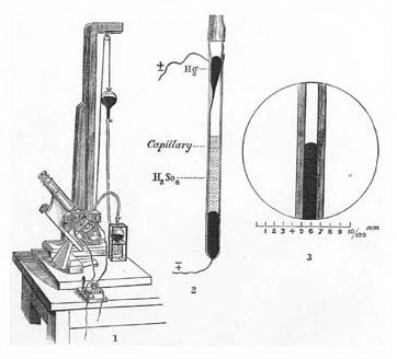 Капиллярный электрометр Липпмана