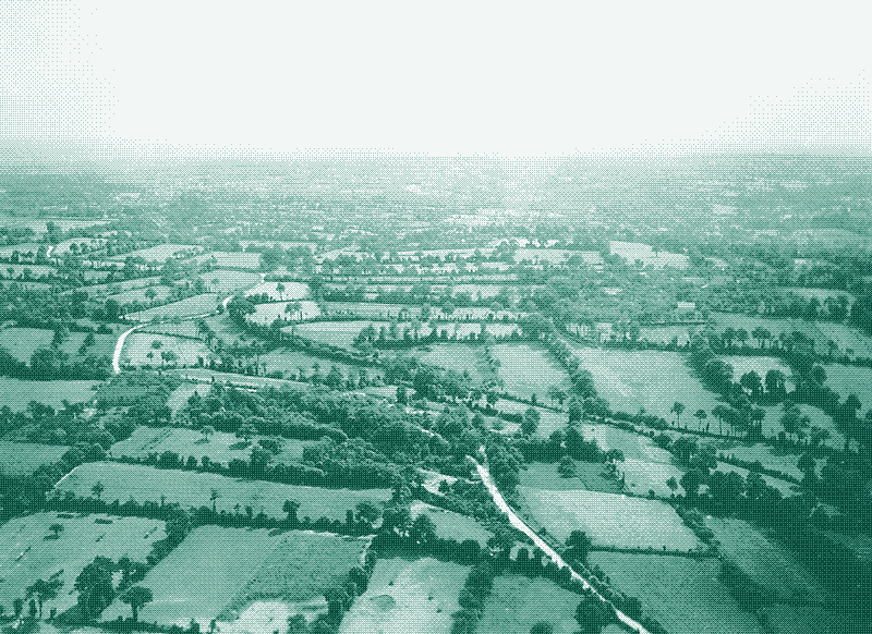 Пейзаж с живой изгородью в Нормандии, Франция, около 1940 года. Автор: W Wolny, общественное достояние.