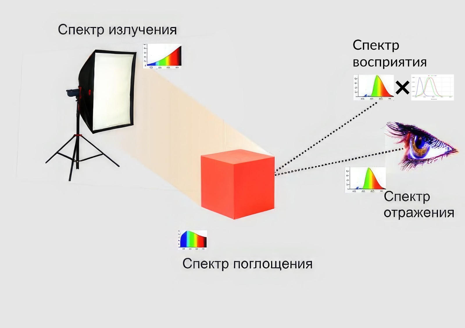 Рис 1.2 Модель восприятия