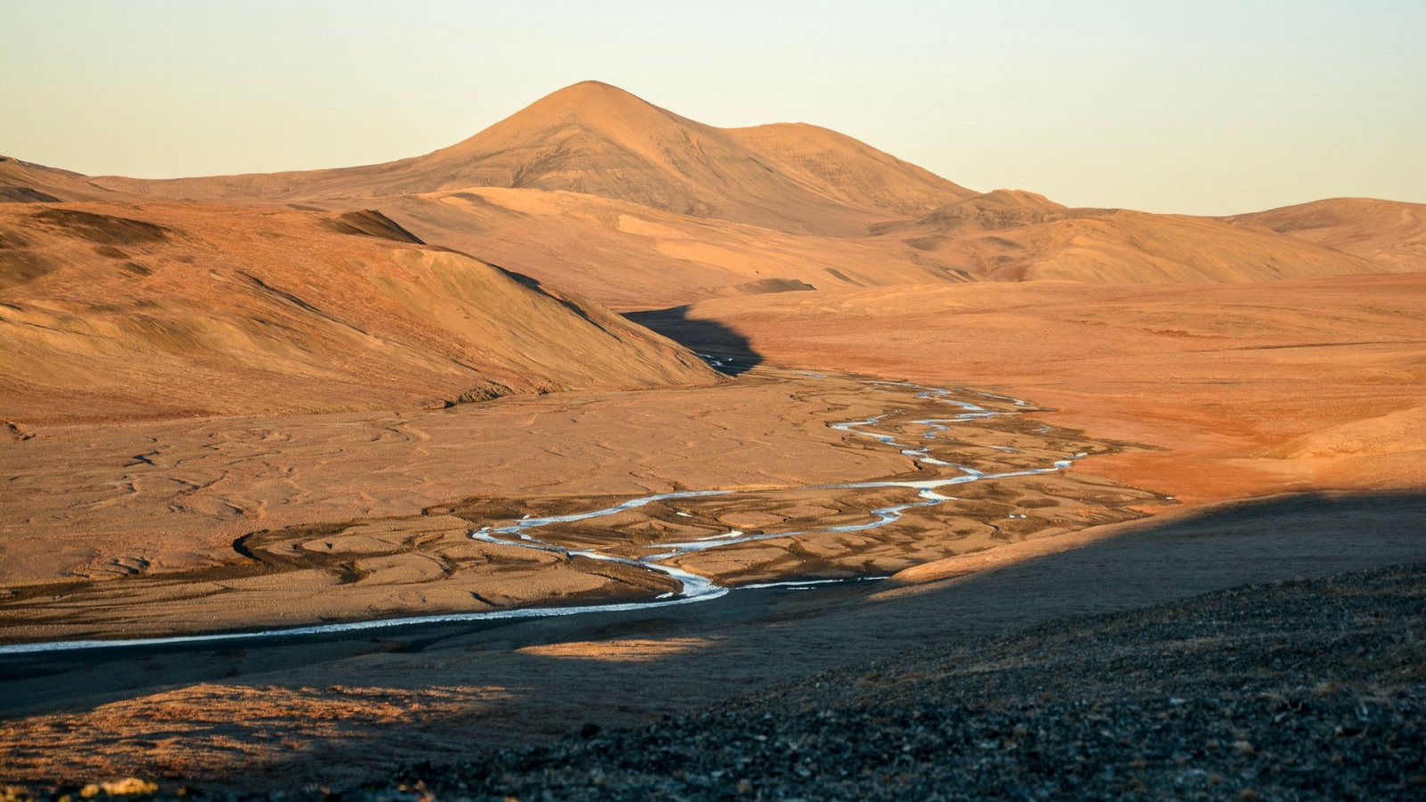 Наглядная пластичность вида и адаптация - 1 Наглядная пластичность вида и адаптация - 1
