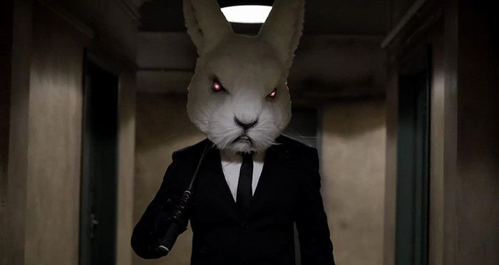 Зайки бывают убедительны Зайки бывают убедительны