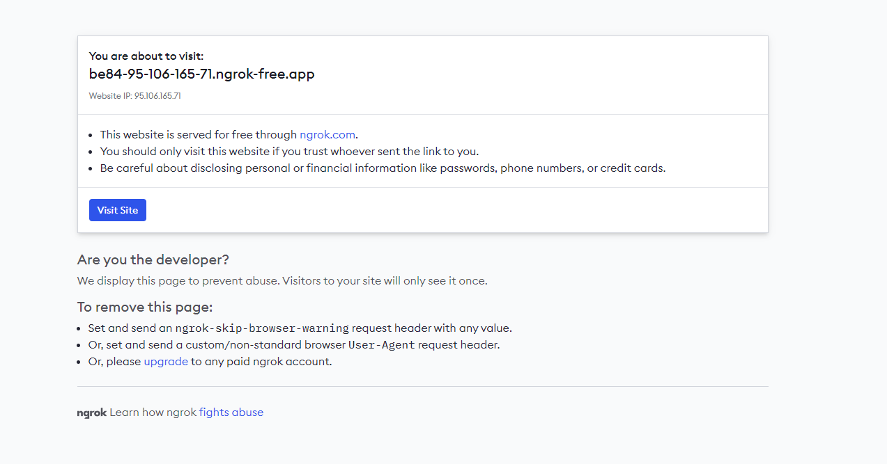 You are about to visit ngrok