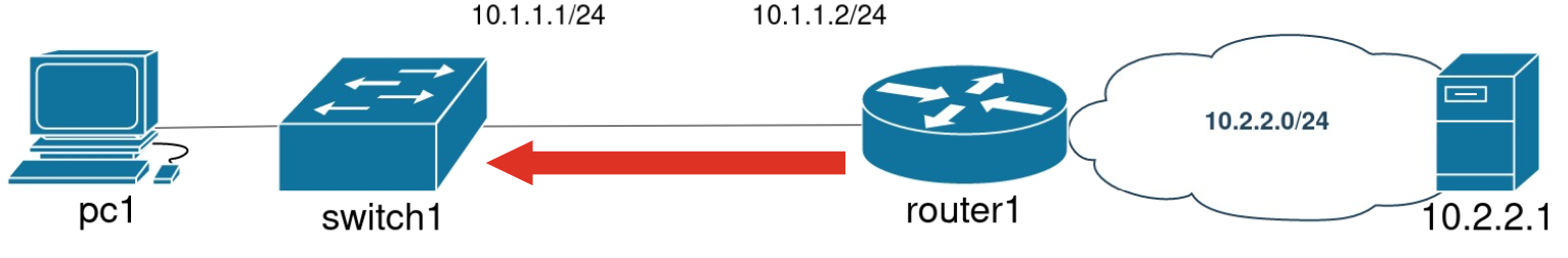 Ищем проблему с доставкой картинок с котиками на разных уровнях L3-коммутатора: от CLI до SDK - 9