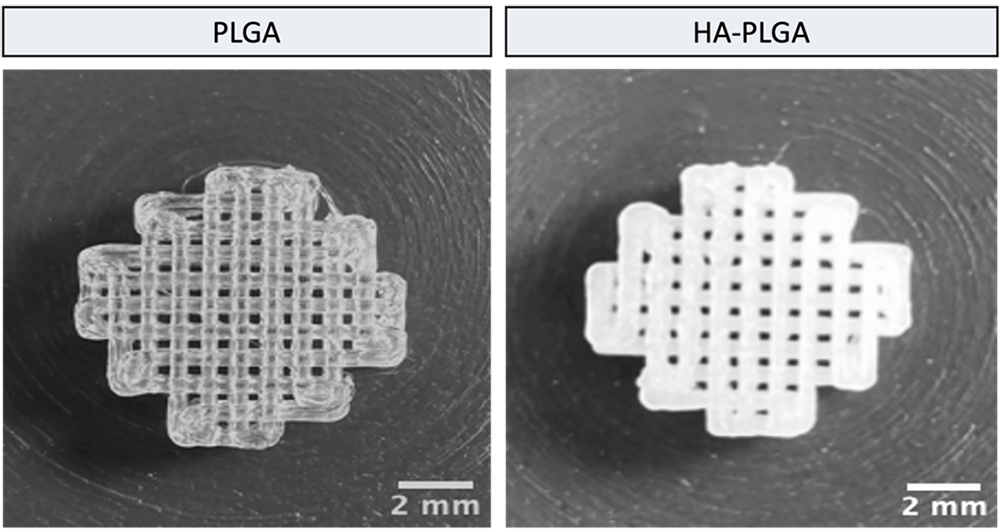 Изготовление костей: применение 3D-печати в медицине - 2 Изготовление костей: применение 3D-печати в медицине - 2