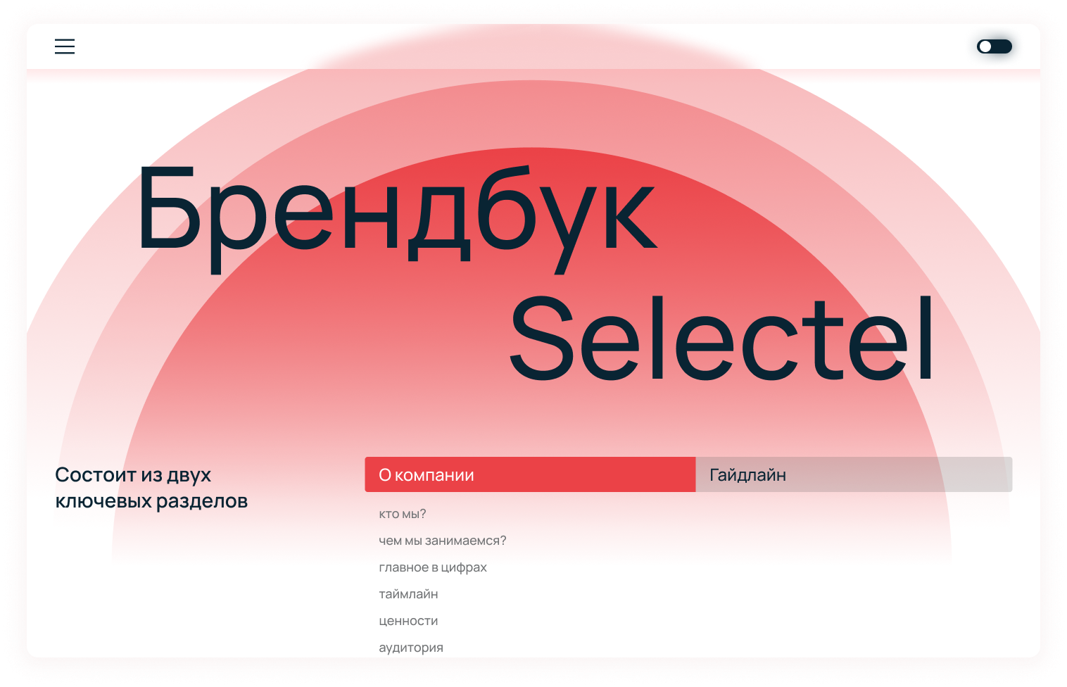 Как устроен открытый брендбук Selectel и зачем он нужен - 13 Как устроен открытый брендбук Selectel и зачем он нужен - 13