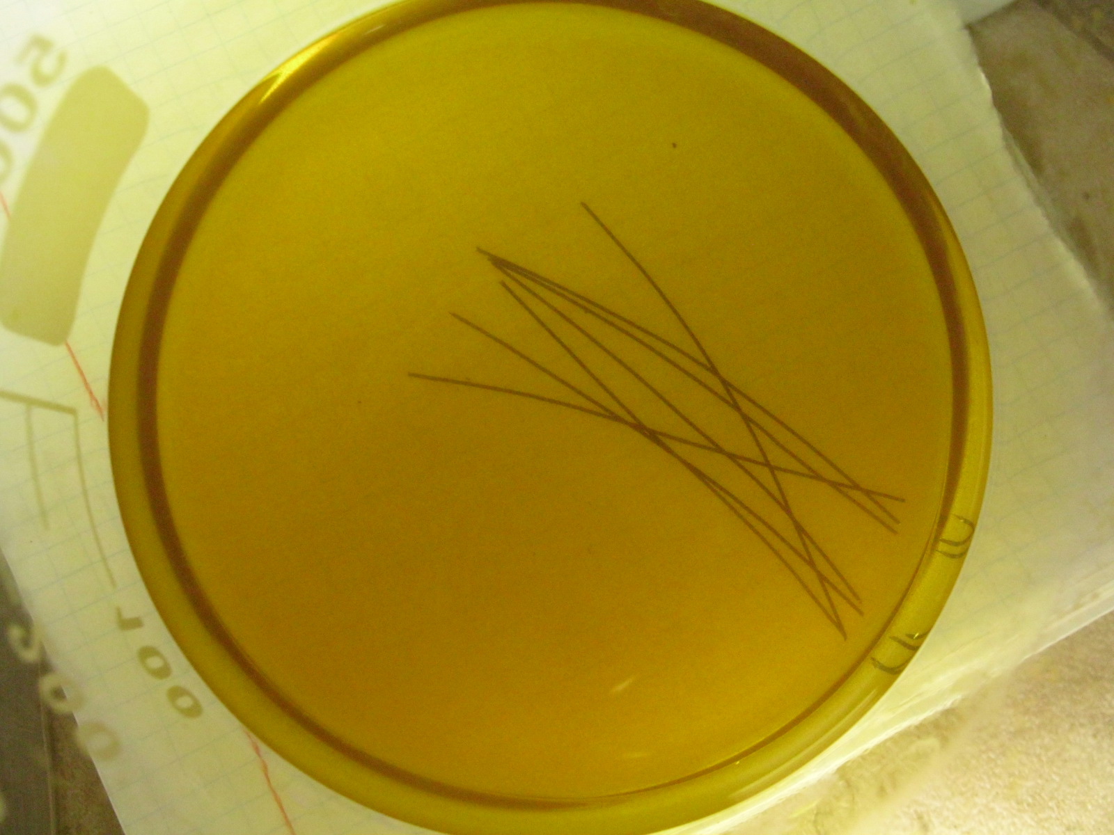 Электровакуумные работы в домашней мастерской. Впаи в молибденовое стекло - 33