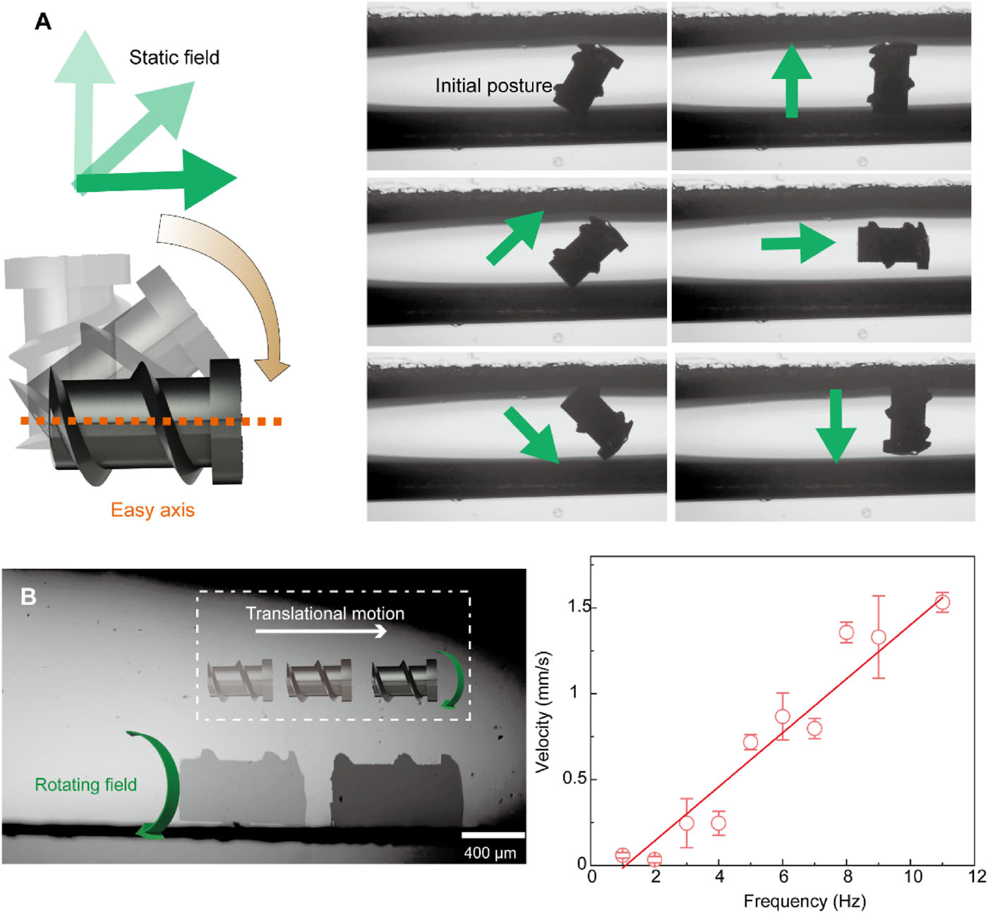 Крошечные роботы для лечения бесплодия - 4 Крошечные роботы для лечения бесплодия - 4