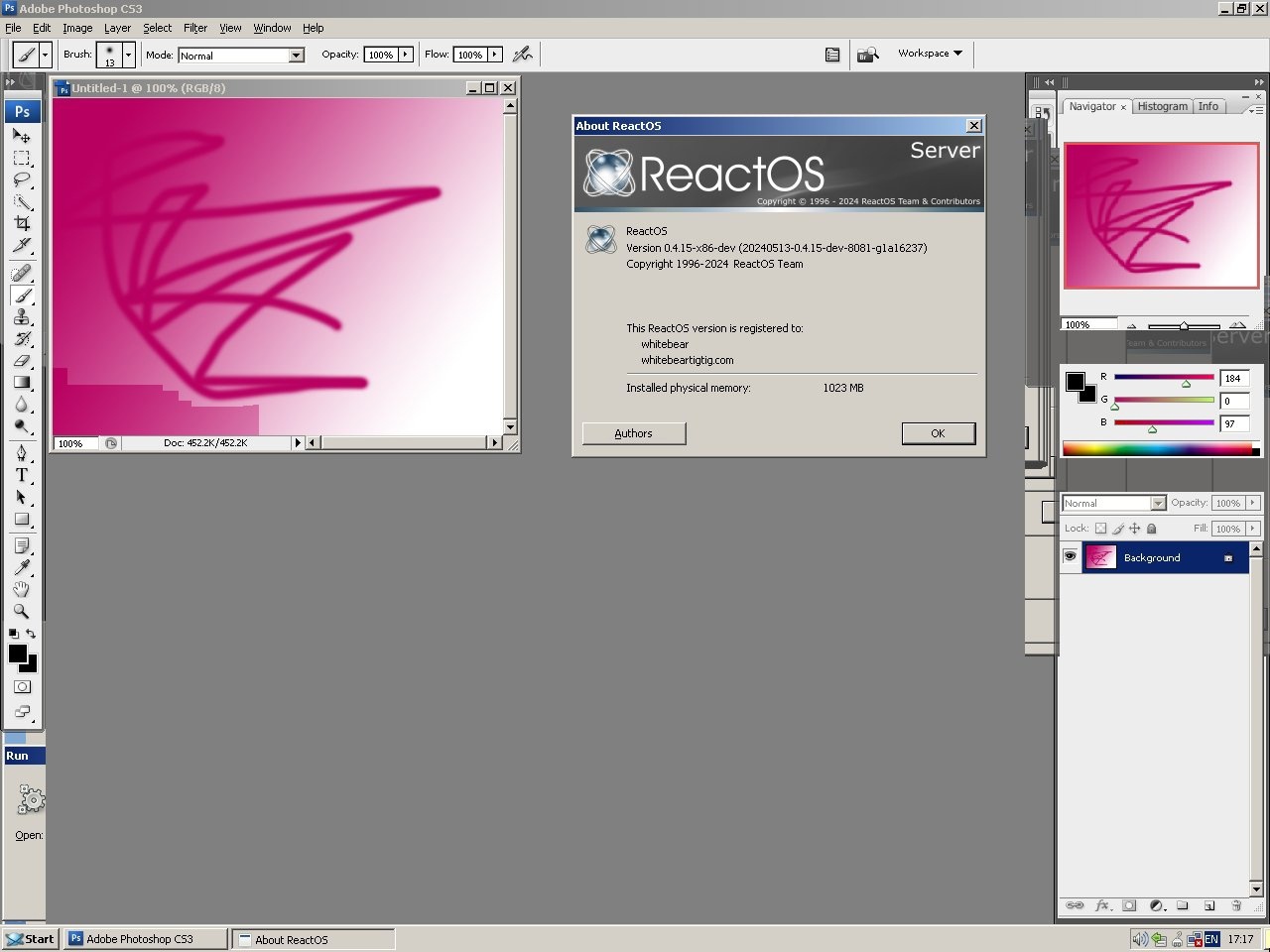 ReactOS и 2024 год - 24 ReactOS и 2024 год - 24