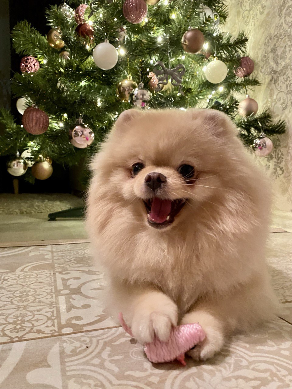 Самая праздничная статья. Как айтишники отмечают Новый год - 2