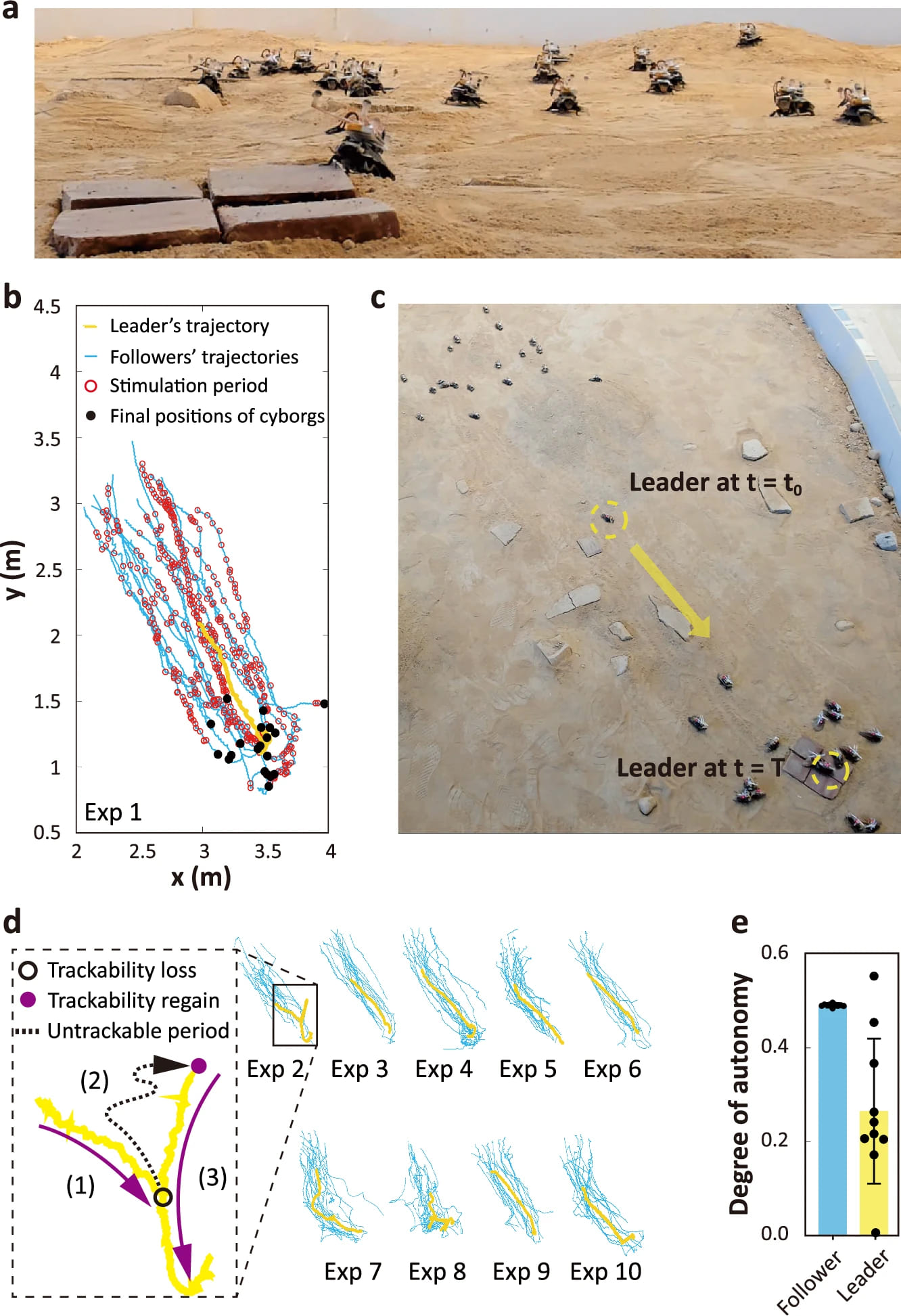 Сердце роя: алгоритм навигации роя киборгов-насекомых - 4 Сердце роя: алгоритм навигации роя киборгов-насекомых - 4