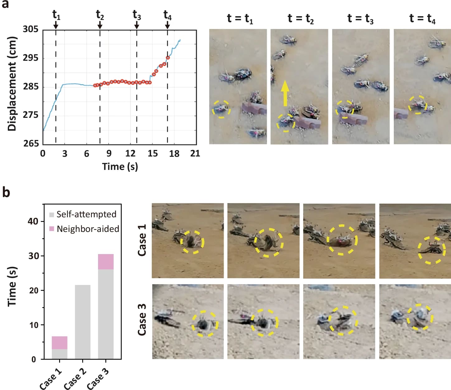 Сердце роя: алгоритм навигации роя киборгов-насекомых - 6 Сердце роя: алгоритм навигации роя киборгов-насекомых - 6