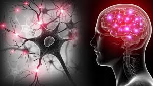 БОГА НЕТ, МАТРИЦЫ ТОЖЕ, ВСЁ ГОРАЗДО СЛОЖНЕЕ - 34 БОГА НЕТ, МАТРИЦЫ ТОЖЕ, ВСЁ ГОРАЗДО СЛОЖНЕЕ - 34