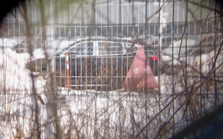 Вместо седана Mercedes-Benz E-класса, кроссоверов GLE и GLS в России начали выпускать кроссоверы Exeed RX и TXL: их засняли на фото прямо на заводе - 2 Вместо седана Mercedes-Benz E-класса, кроссоверов GLE и GLS в России начали выпускать кроссоверы Exeed RX и TXL: их засняли на фото прямо на заводе