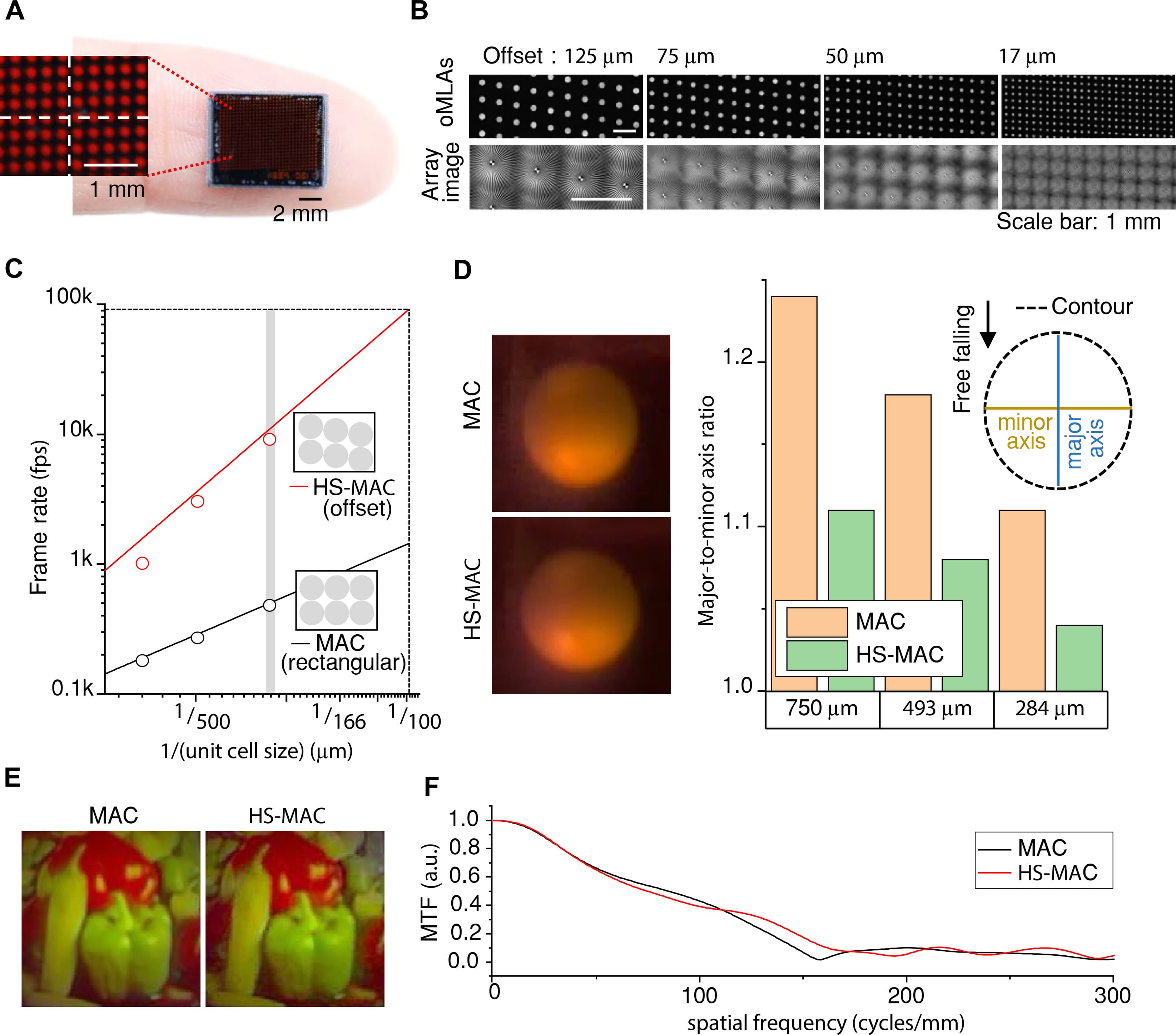 Глазами насекомого: камера с частотой 9120 кадров в секунду - 3