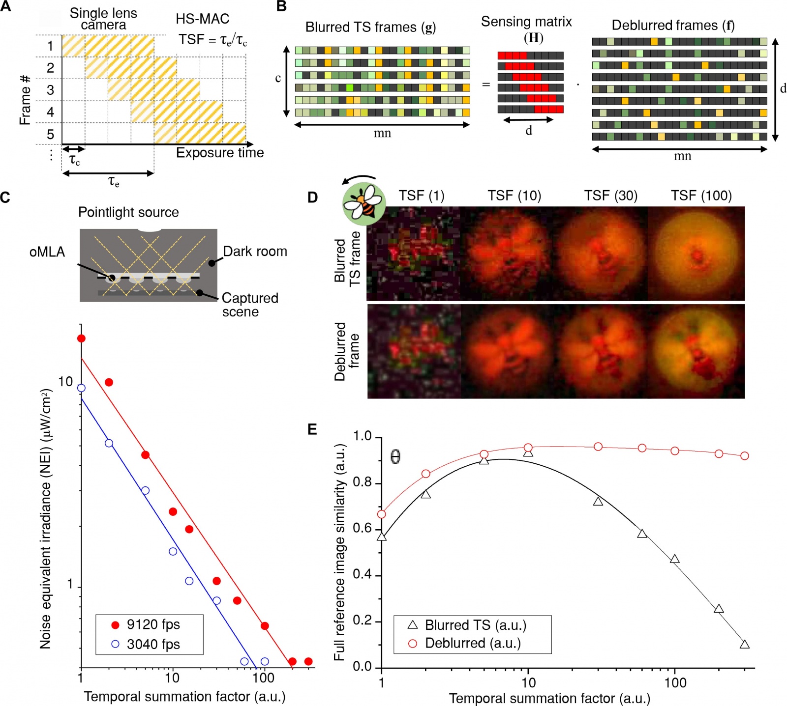 Глазами насекомого: камера с частотой 9120 кадров в секунду - 4