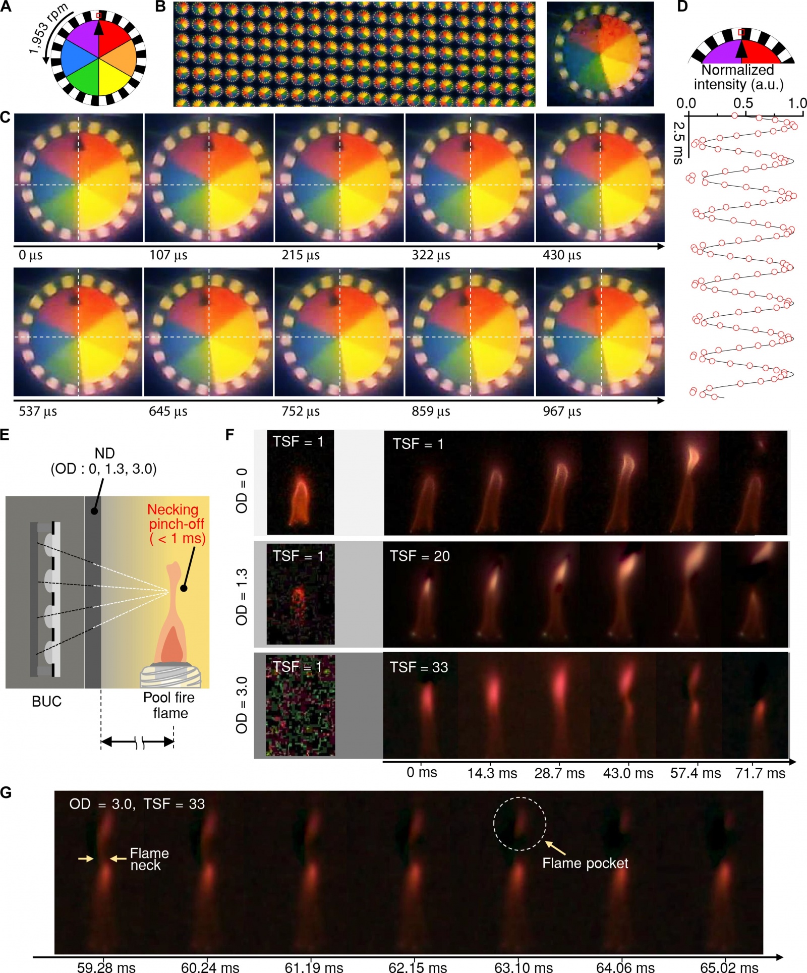 Глазами насекомого: камера с частотой 9120 кадров в секунду - 8