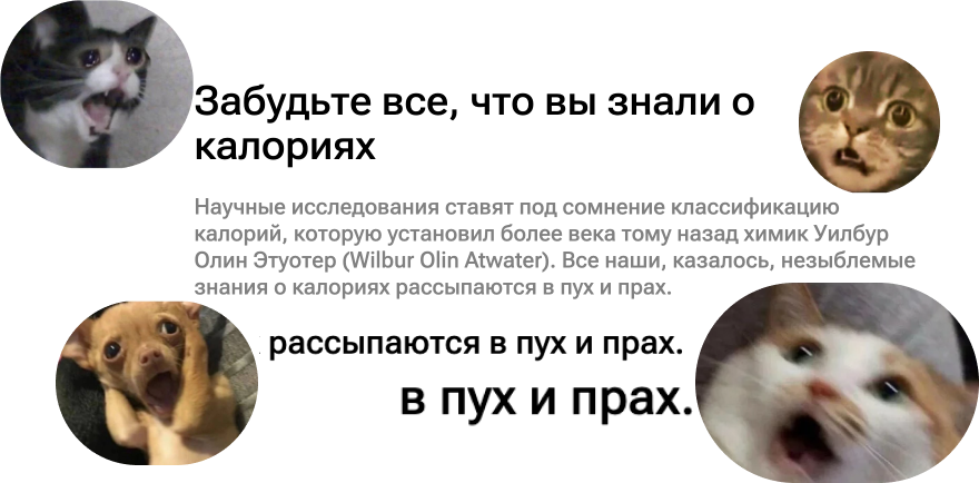 Вы не понимаете теорию калорийности - 2 Вы не понимаете теорию калорийности - 2