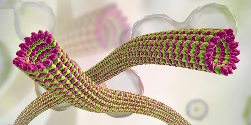 Призрак в доспехах. Квантовый искусственный интеллект. Квантовая природа сознания - 2