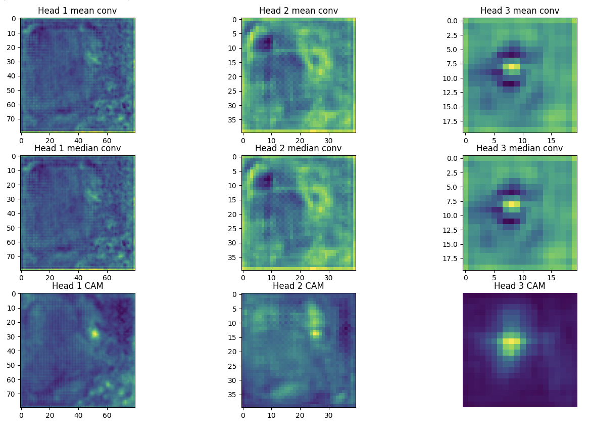 Свертки и CAM из head