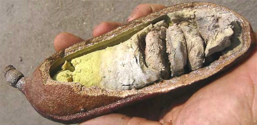 Электрогитара по доступной цене, не нуждающаяся в доработках - 12 Электрогитара по доступной цене, не нуждающаяся в доработках - 12