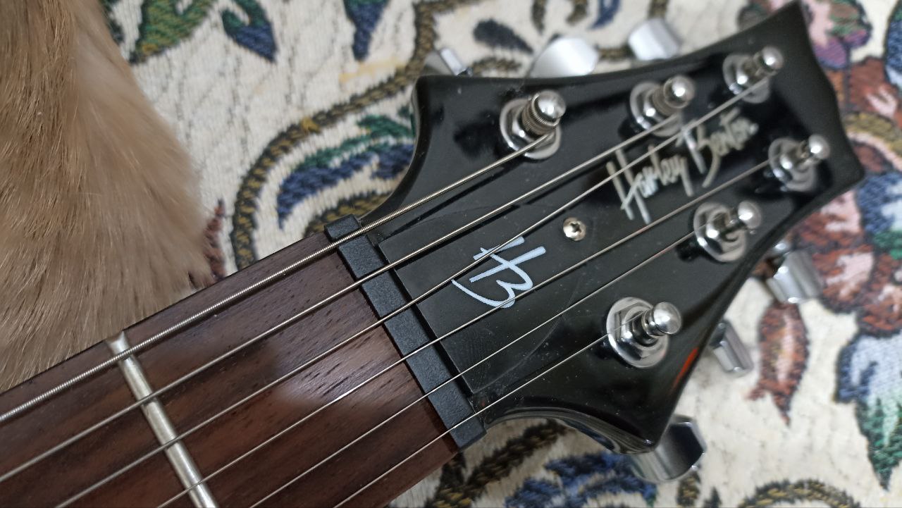 Электрогитара по доступной цене, не нуждающаяся в доработках - 13 Электрогитара по доступной цене, не нуждающаяся в доработках - 13