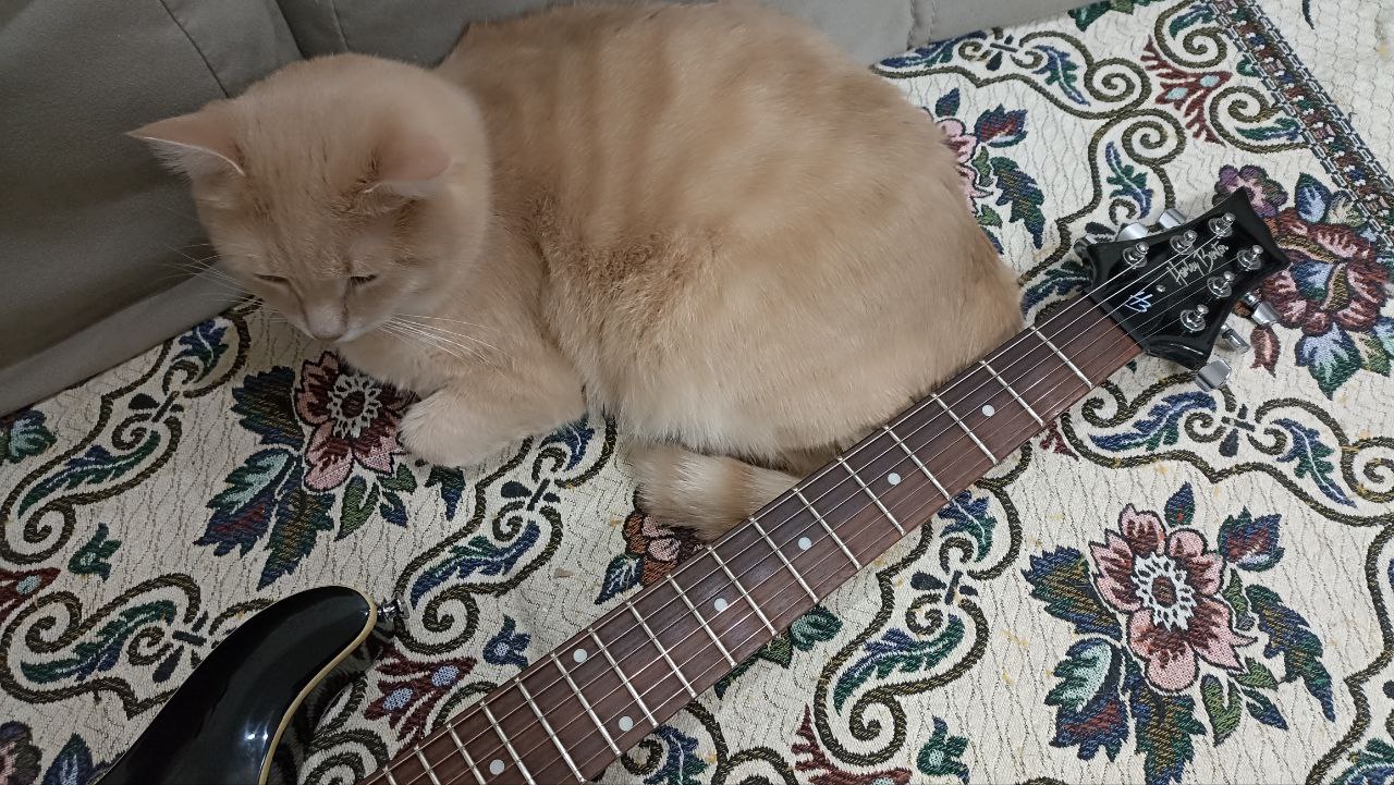 Электрогитара по доступной цене, не нуждающаяся в доработках - 4 Электрогитара по доступной цене, не нуждающаяся в доработках - 4