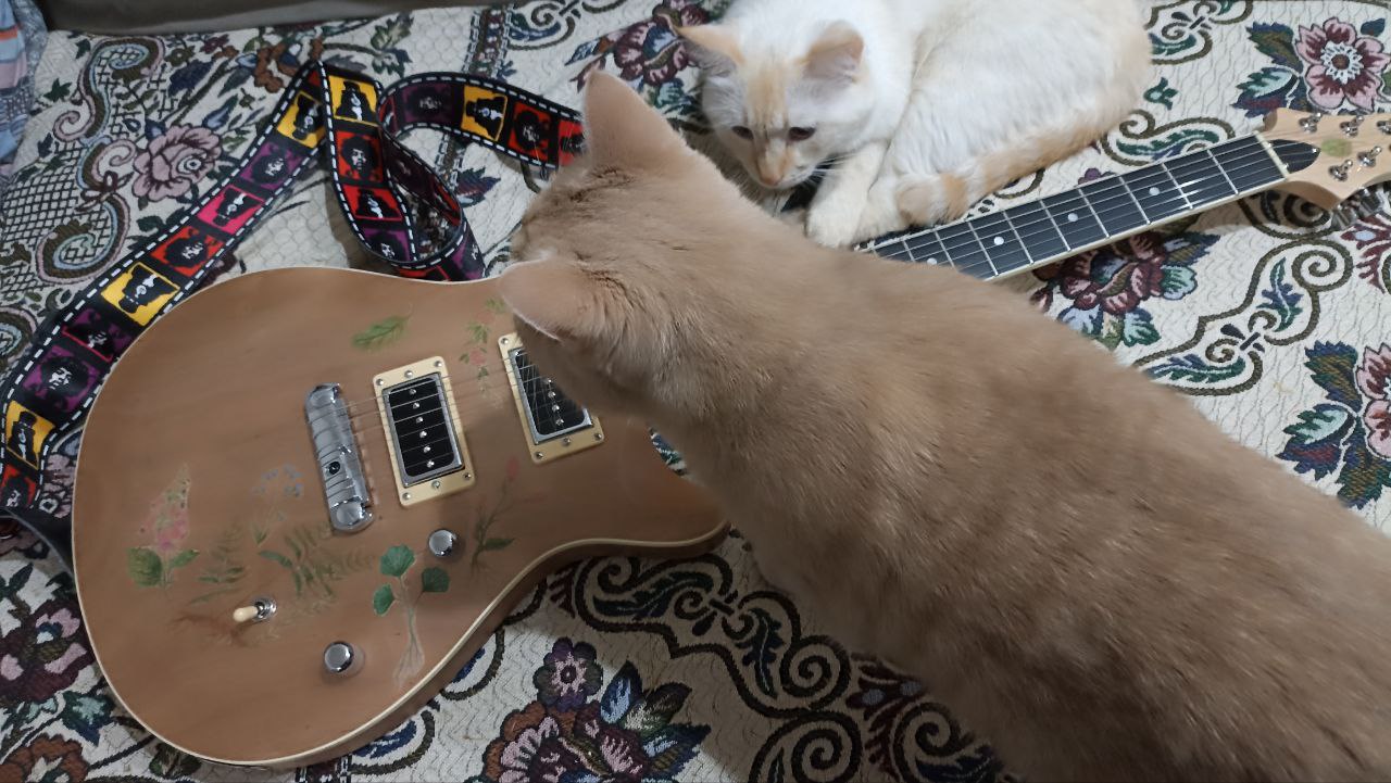 Электрогитара по доступной цене, не нуждающаяся в доработках - 6 Электрогитара по доступной цене, не нуждающаяся в доработках - 6