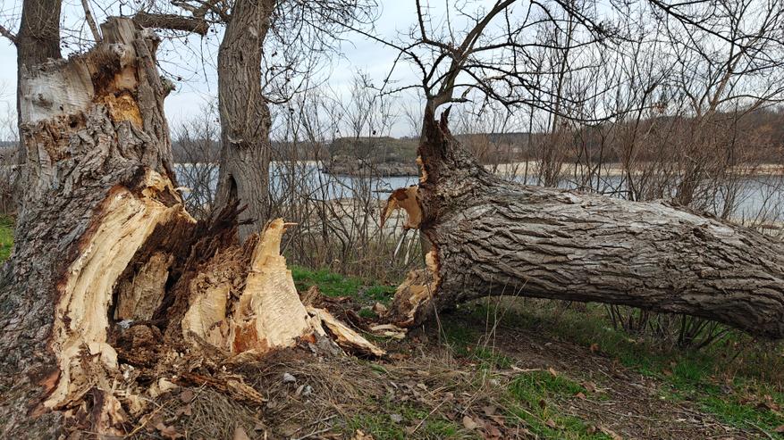 Обзор смартфона Realme GT6: Убийца флагманов или просто агрессивный маркетинг? - 67