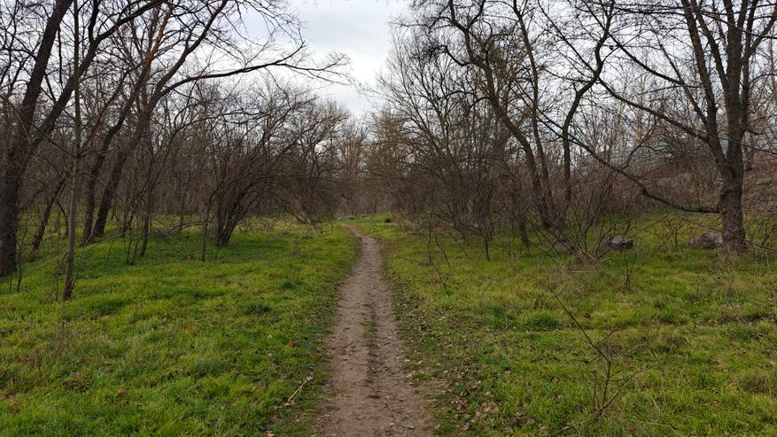 Обзор смартфона Realme GT6: Убийца флагманов или просто агрессивный маркетинг? - 68