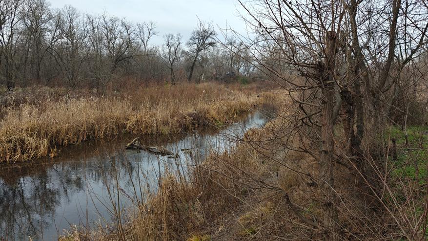 Обзор смартфона Realme GT6: Убийца флагманов или просто агрессивный маркетинг? - 70