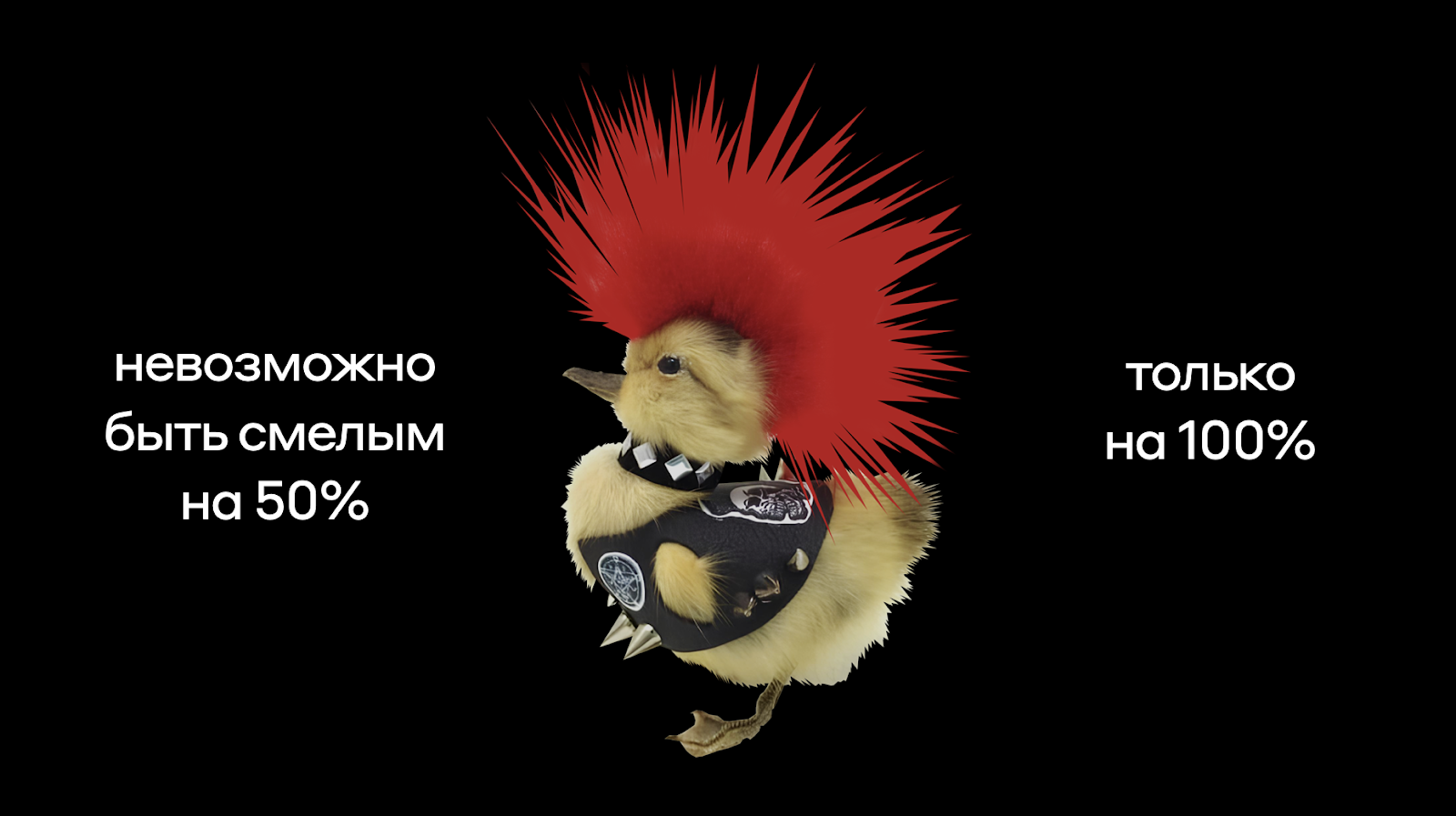 Панк не сдох - 5