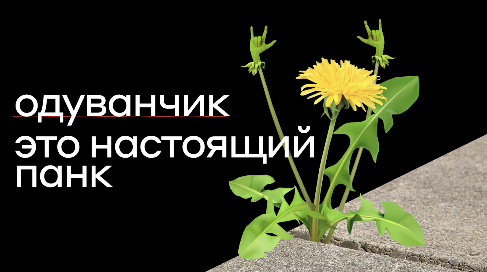 Панк не сдох - 7