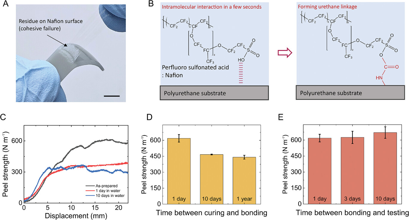 Модульный робот-червь - 4